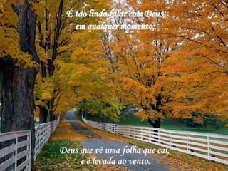É tão lindo falar com Deus,
   em qualquer momento;




Deus que vê uma folha que cai,
     e é levada ao vento.
 