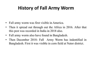 History of Fall Army Worm
• Fall army worm was first visible in America.
• Then it spread out through out the Africa in 2016. After that
this pest was recorded in India in 2018 also.
• Fall army worm also have found in Bangladesh.
• Then December 2018- Fall Army Worm has indentified in
Bangladesh. First it was visible in corn field at Nator district.
 