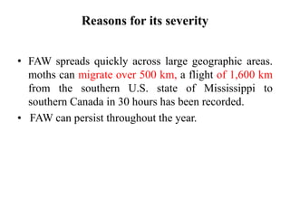 Reasons for its severity
• FAW spreads quickly across large geographic areas.
moths can migrate over 500 km, a flight of 1,600 km
from the southern U.S. state of Mississippi to
southern Canada in 30 hours has been recorded.
• FAW can persist throughout the year.
 