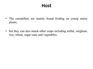 Host
• The caterpillars are mainly found feeding on young maize
plants,
• but they can also attack other crops including millet, sorghum,
rice, wheat, sugar cane and vegetables.
 