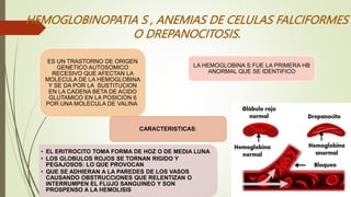 HEMOGLOBINOPATIA S , ANEMIAS DE CELULAS FALCIFORMES
O DREPANOCITOSIS.
ES UN TRASTORNO DE ORIGEN
GENETICO AUTOSOMICO
RECESIVO QUE AFECTAN LA
MOLECULA DE LA HEMOGLOBINA
Y SE DA POR LA SUSTITUCION
EN LA CADENA BETA DE ACIDO
GLUTAMICO EN LA POSICION 6
POR UNA MOLECULA DE VALINA.
LA HEMOGLOBINA S FUE LA PRIMERA HB
ANORMAL QUE SE IDENTIFICO
• EL ERITROCITO TOMA FORMA DE HOZ O DE MEDIA LUNA
• LOS GLOBULOS ROJOS SE TORNAN RIGIDO Y
PEGAJOSOS: LO QUE PROVOCAN
• QUE SE ADHIERAN A LA PAREDES DE LOS VASOS
CAUSANDO OBSTRUCCIONES QUE RELENTIZAN O
INTERRUMPEN EL FLUJO SANGUINEO Y SON
PROSPENSO A LA HEMOLISIS
CARACTERISTICAS:
 