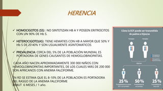  HOMOCIGOTOS (SS) : NO SINTETIZAN HB A Y POSEEN ERITROCITOS
CON UN 90% DE Hb S.
 HETEROCIGOTO(AS): TIENE HEMATIES CON HB A MAYOR QUE 50% Y
Hb S DE 20’40% Y SON USUALMENTE ASINTOMATICOS
 PREVALENCIA: CERCA DEL 5% DE LA POBLACIÓN MUNDIAL ES
PORTADORA DE GENES CAUSANTES DE HEMOGLOBINOPATÍAS.
CADA AÑO NACEN APROXIMADAMENTE 300 000 NIÑOS CON
HEMOGLOBINOPATÍAS IMPORTANTES, DE LOS CUALES MÁS DE 200 000
SON AFRICANOS CON ANEMIA FALCIFORME.
EN RD SE ESTIMA QUE EL 8-10% DE LA POBLACION ES PORTADORA
DEL RASGO DE LA ANEMIA FALCIFORME
DEBUT 6 MESES / 1 año.
HERENCIA
 