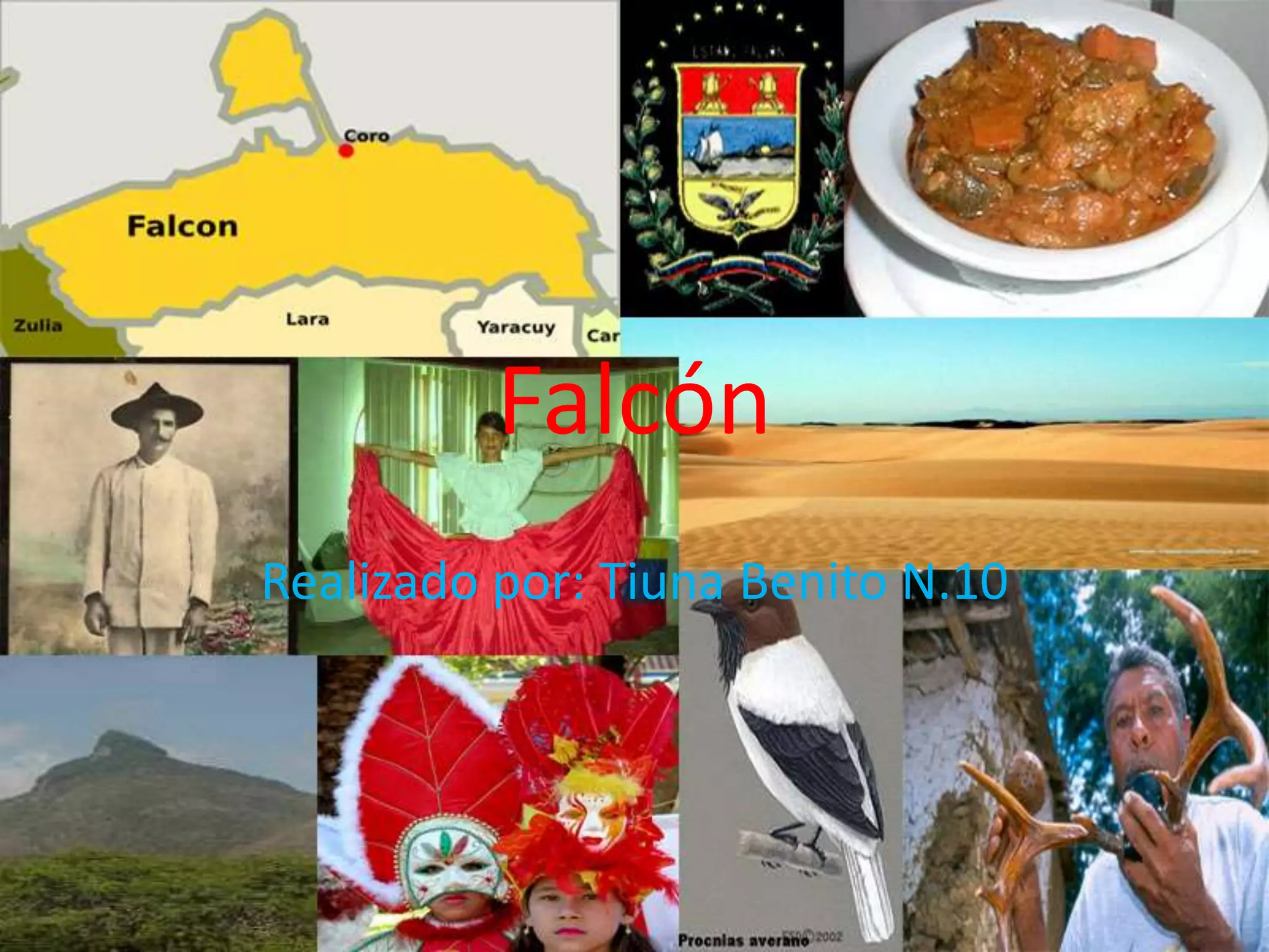 Falcón
Realizado por: Tiuna Benito N.10
 