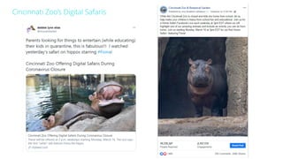 Cincinnati Zoo’s Digital Safaris
 