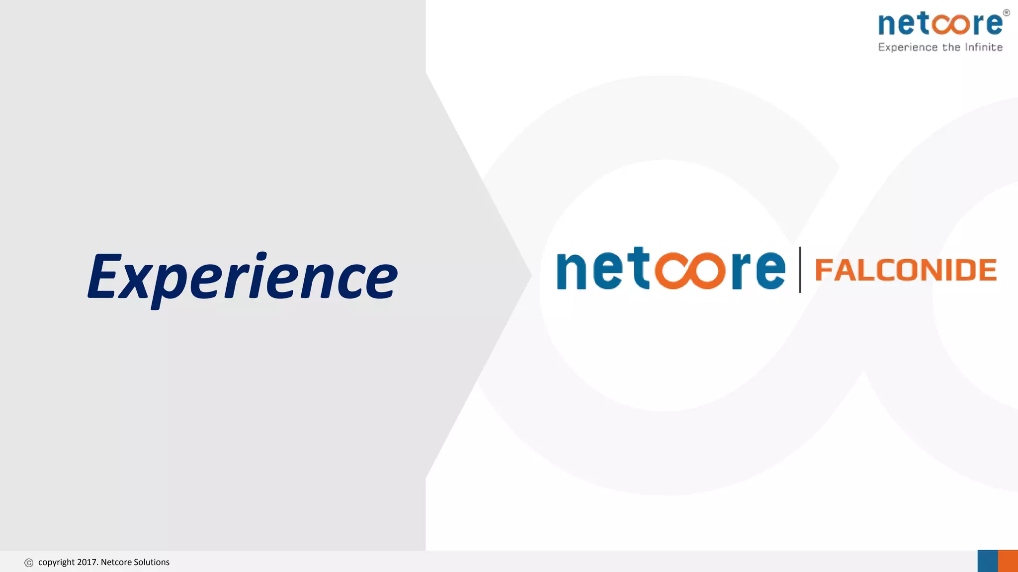 copyright 2017. Netcore Solutions
Experience
 