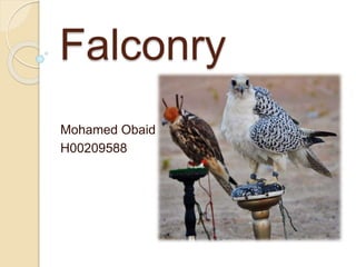 Falconry
Mohamed Obaid
H00209588
 