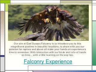 Falconry Experience
Our aim at East Sussex Falconry is to introduce you to this
magnificent pastime in beautiful locations, to share with you our
passion for raptors and above all make your hands on experience a
time to remember. With interaction with our birds and lot’s of hands
on time… with a little learning on the way too.
 