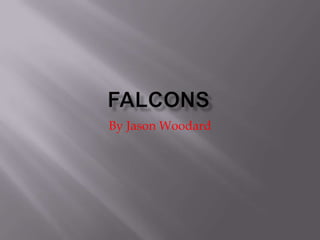 Falcons By Jason Woodard 