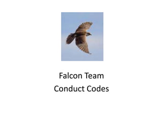 Falcon Team  Conduct Codes 