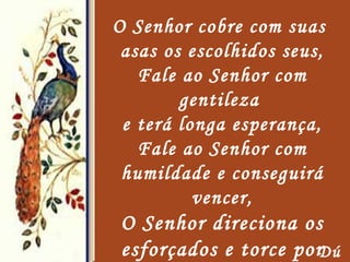 O Senhor cobre com suas  asas os escolhidos seus, Fale ao Senhor com gentileza  e terá longa esperança, Fale ao Senhor com humildade e conseguirá vencer, O Senhor direciona os esforçados e torce por você... Fique com o Senhor!!! Dú 