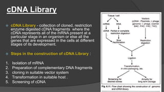 Gene Libraries | PPTX