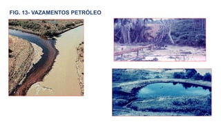 FIG. 13- VAZAMENTOS PETRÓLEO
 
