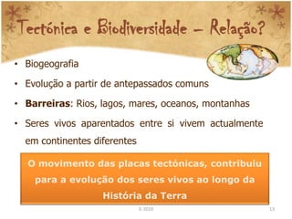 Tectónica e Biodiversidade – Relação?
• Biogeografia

• Evolução a partir de antepassados comuns

• Barreiras: Rios, lagos, mares, oceanos, montanhas

• Seres vivos aparentados entre si vivem actualmente
  em continentes diferentes

  O movimento das placas tectónicas, contribuiu
    para a evolução dos seres vivos ao longo da
                   História da Terra
                              IL 2010                  13
 