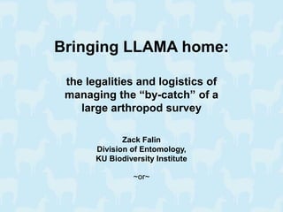Bringing LLAMA home:
the legalities and logistics of
managing the “by-catch” of a
large arthropod survey
Zack Falin
Division of Entomology,
KU Biodiversity Institute
~or~
 