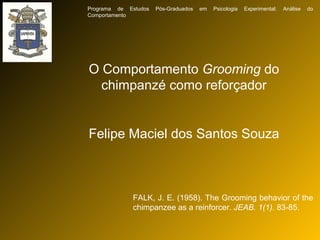 O Comportamento  Grooming  do chimpanzé como reforçador Felipe Maciel dos Santos Souza FALK, J. E. (1958). The Grooming behavior of the chimpanzee as a reinforcer.  JEAB. 1(1).  83-85. Programa de Estudos Pós-Graduados em Psicologia Experimental: Análise do Comportamento 