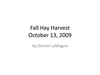 Fall Hay HarvestOctober 13, 2009 by Dennis LaMagna 