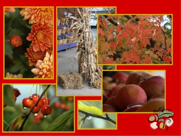 Welcome to Riverside
Sunday,  October 20, 2007

' “To Know Christ and Make Him Known”

 

The earth is the Lord's, 
and th...