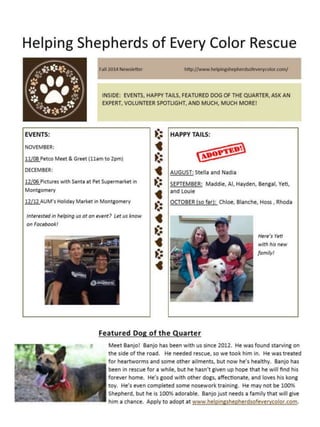 Helping Shepherds Every Color Rescue Fall 14 newsletter