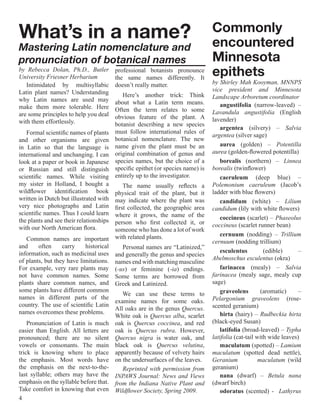 What’s in a name?                                                                Commonly
                                                                                 encountered
Mastering Latin nomenclature and
pronunciation of botanical names                                                 Minnesota
by Rebecca Dolan, Ph.D., Butler
University Friesner Herbarium
                                         professional botanists pronounce
                                         the same names differently. It
                                                                                 epithets
   Intimidated by multisyllabic          doesn’t really matter.                  by Shirley Mah Kooyman, MNNPS
Latin plant names? Understanding                                                 vice president and Minnesota
                                            Here’s another trick: Think          Landscape Arboretum coordinator
why Latin names are used may             about what a Latin term means.
make them more tolerable. Here                                                       angustifolia (narrow-leaved) –
                                         Often the term relates to some          Lavandula angustifolia (English
are some principles to help you deal     obvious feature of the plant. A
with them effortlessly.                                                          lavender)
                                         botanist describing a new species
                                                                                     argentea (silvery) – Salvia
   Formal scientific names of plants     must follow international rules of
                                                                                 argentea (silver sage)
and other organisms are given            botanical nomenclature. The new
in Latin so that the language is         name given the plant must be an             aurea (golden) – Potentilla
international and unchanging. I can      original combination of genus and       aurea (golden-flowered potentilla)
look at a paper or book in Japanese      species names, but the choice of a          borealis (northern) – Linnea
or Russian and still distinguish         specific epithet (or species name) is   borealis (twinflower)
scientific names. While visiting         entirely up to the investigator.            caeruleum (deep blue) –
my sister in Holland, I bought a          The name usually reflects a            Polemonium caeruleum (Jacob’s
wildflower identification book        physical trait of the plant, but it        ladder with blue flowers)
written in Dutch but illustrated with may indicate where the plant was               candidum (white) – Lilium
very nice photographs and Latin       first collected, the geographic area       candidum (lily with white flowers)
scientific names. Thus I could learn  where it grows, the name of the
the plants and see their relationships                                               coccineus (scarlet) – Phaseolus
                                      person who first collected it, or          coccineus (scarlet runner bean)
with our North American flora.        someone who has done a lot of work
                                                                                     cernuum (nodding) – Trillium
    Common names are important with related plants.                              cernuum (nodding trillium)
and     often     carry    historical     Personal names are “Latinized,”
information, such as medicinal uses and generally the genus and species              esculentus         (edible)      –
of plants, but they have limitations. names end with matching masculine          Abelmoschus esculentus (okra)
For example, very rare plants may (-us) or feminine (-ia) endings.                   farinacea (mealy) – Salvia
not have common names. Some Some terms are borrowed from                         farinacea (mealy sage, mealy cup
plants share common names, and Greek and Latinized.                              sage)
some plants have different common                                                    graveolens        (aromatic)     –
                                          We can use these terms to
names in different parts of the                                                  Pelargonium graveolens (rose-
                                      examine names for some oaks.
country. The use of scientific Latin                                             scented geranium)
                                      All oaks are in the genus Quercus.
names overcomes these problems.                                                      hirta (hairy) – Rudbeckia hirta
                                      White oak is Quercus alba, scarlet
    Pronunciation of Latin is much oak is Quercus coccinea, and red              (black-eyed Susan)
easier than English. All letters are oak is Quercus rubra. However,                  latifolia (broad-leaved) – Typha
pronounced; there are no silent Quercus nigra is water oak, and                  latifolia (cat-tail with wide leaves)
vowels or consonants. The main black oak is Quercus velutina,                        maculatum (spotted) – Lamium
trick is knowing where to place apparently because of velvety hairs              maculatum (spotted dead nettle),
the emphasis. Most words have on the undersurfaces of the leaves.                Geranium             maculatum (wild
the emphasis on the next-to-the-          Reprinted with permission from         geranium)
last syllable; others may have the INPAWS Journal: News and Views                    nana (dwarf) – Betula nana
emphasis on the syllable before that. from the Indiana Native Plant and          (dwarf birch)
Take comfort in knowing that even Wildflower Society, Spring 2009.                   odoratus (scented) - Lathyrus
4
 