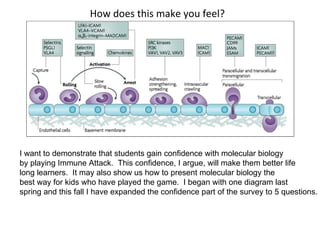 How does this make you feel? I want to demonstrate that students gain confidence with molecular biology by playing Immune Attack.  This confidence, I argue, will make them better life  long learners.  It may also show us how to present molecular biology the  best way for kids who have played the game.  I began with one diagram last  spring and this fall I have expanded the confidence part of the survey to 5 questions.  