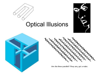 Optical Illusions 