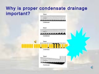 Why is proper condensate drainage
important?

 