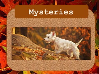 Mysteries 
 