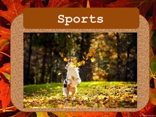 Sports 
 