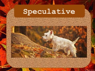 Speculative 
 