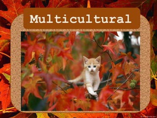 Multicultural 
 