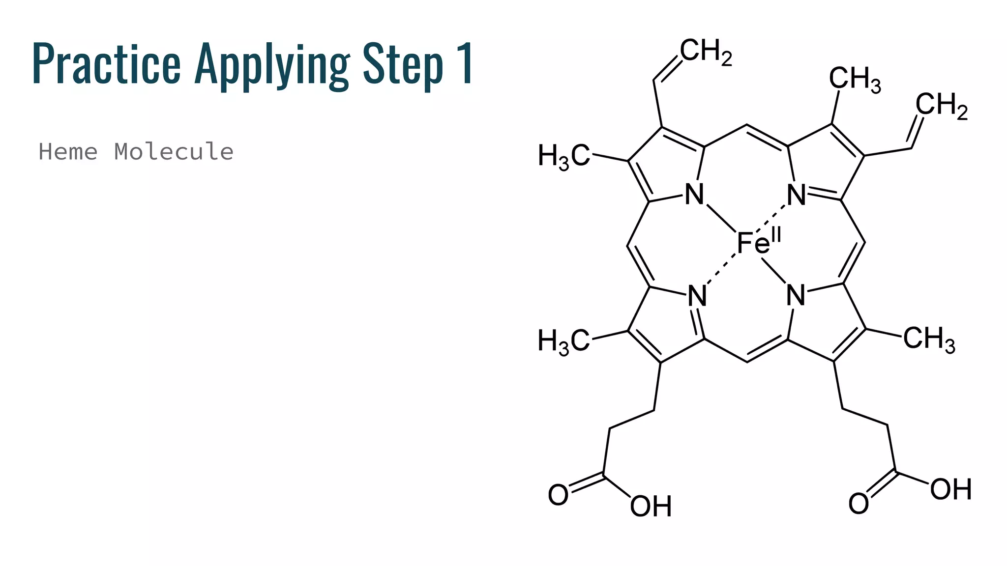 Practice Applying Step 1
Heme Molecule
 