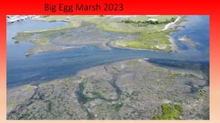 Big Egg Marsh 2023
 