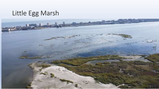 Little Egg Marsh
 