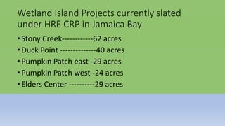 Wetland Island Projects currently slated
under HRE CRP in Jamaica Bay
• Stony Creek------------62 acres
• Duck Point --------------40 acres
• Pumpkin Patch east -29 acres
• Pumpkin Patch west -24 acres
• Elders Center ----------29 acres
 