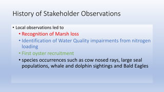 History of Stakeholder Observations
• Local observations led to
• Recognition of Marsh loss
• Identification of Water Quality impairments from nitrogen
loading
• First oyster recruitment
• species occurrences such as cow nosed rays, large seal
populations, whale and dolphin sightings and Bald Eagles
 