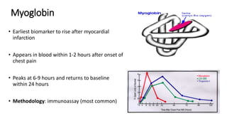 Comprehensive Overview of Cardiac Markers in Diagnosing Myocardial ...