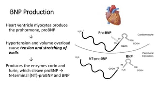 Comprehensive Overview of Cardiac Markers in Diagnosing Myocardial ...