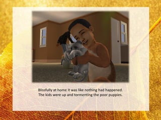 Blissfully at home it was like nothing had happened.
The kids were up and tormenting the poor puppies.
 