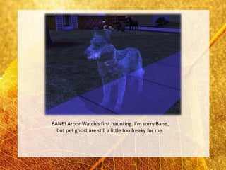 BANE! Arbor Watch’s first haunting. I'm sorry Bane,
  but pet ghost are still a little too freaky for me.
 