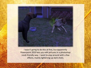 I wasn’t going to do this at first, but apparently
Powerpoint 2010 lets you edit pictures in a photoshop
 noob friendly way. I want to play around with a few
       effects, mainly lightening up dark shots.
 
