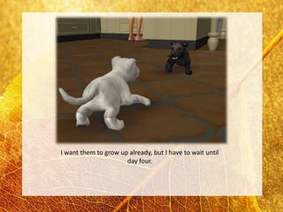 I want them to grow up already, but I have to wait until
                      day four.
 