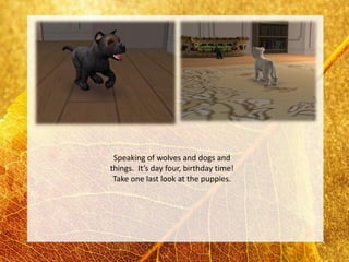 Speaking of wolves and dogs and
things. It’s day four, birthday time!
 Take one last look at the puppies.
 