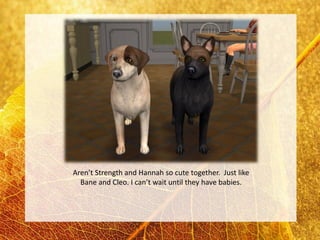 Aren’t Strength and Hannah so cute together. Just like
  Bane and Cleo. I can’t wait until they have babies.
 