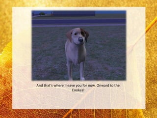 And that’s where I leave you for now. Onward to the
                      Cookes!
 