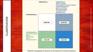 20
CLASIFICACIÓN
2016ESCGuidelinesforthediagnosisandtreatmentofacuteandchronicheartfailure.
 