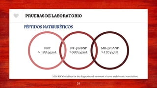 PRUEBAS DE LABORATORIO
PÉPTIDOS NATRIURÉTICOS
28
2016 ESC Guidelines for the diagnosis and treatment of acute and chronic heart failure.
NT-proBNP
>300 pg/mL
BNP
> 100 pg/mL
MR-proANP
>120 pg/dL
 