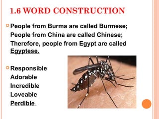 1.6 WORD CONSTRUCTION
 Peoplefrom Burma are called Burmese;
 People from China are called Chinese;
 Therefore, people from Egypt are called
 Egyptese.

 Responsible

 Adorable
 Incredible
 Loveable
 Perdible
 
