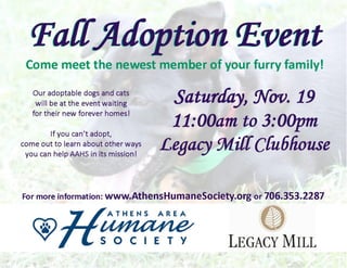 Fall Adoption Flyer