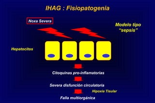 Hepatocitos
Citoquinas pro-inflamatorias
Noxa Severa
Severa disfunción circulatoria
Falla multiorgánica
IHAG : Fisiopatogenia
Hipoxia Tisular
Modelo tipo
“sepsis”
 