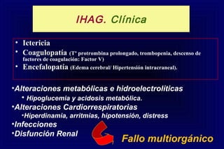 IHAG. Clínica
• Ictericia
• Coagulopatía (Tº protrombina prolongado, trombopenia, descenso de
factores de coagulación: Factor V)
• Encefalopatía (Edema cerebral/ Hipertensión intracraneal).
Fallo multiorgánico
•Alteraciones metabólicas e hidroelectrolíticas
• Hipoglucemia y acidosis metabólica.
•Alteraciones Cardiorrespiratorias
•Hiperdinamia, arritmias, hipotensión, distress
•Infecciones
•Disfunción Renal
 